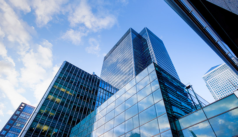 Find an LLC organizer<